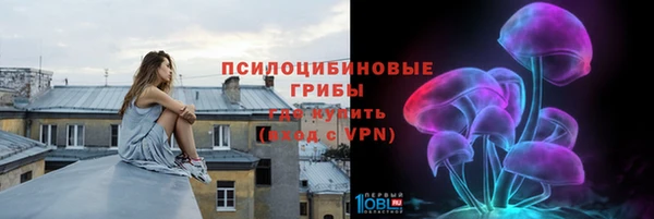 мяу мяу мука Бородино