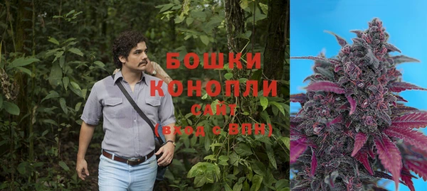 мяу мяу мука Бородино