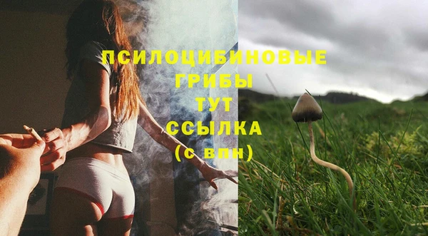 мяу мяу мука Бородино