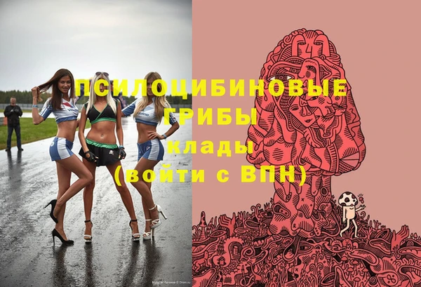 мяу мяу мука Бородино