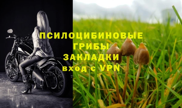 мяу мяу мука Бородино
