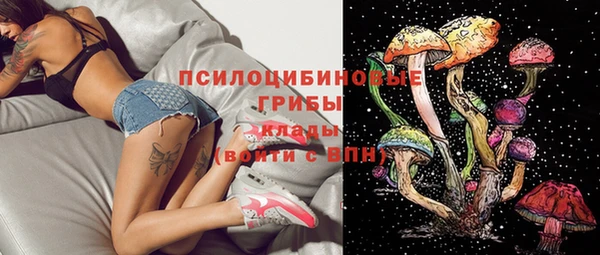 мяу мяу мука Бородино