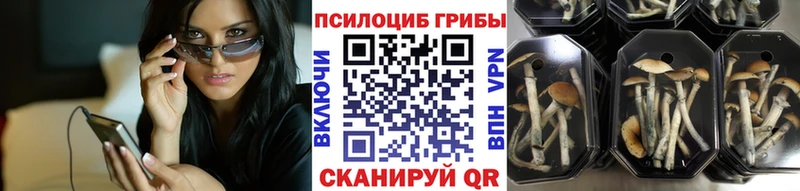 Галлюциногенные грибы ЛСД Купить где Усмань