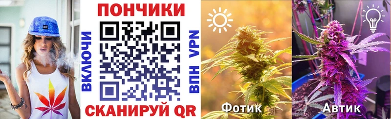 Каннабис SATIVA & INDICA Купить где Усмань